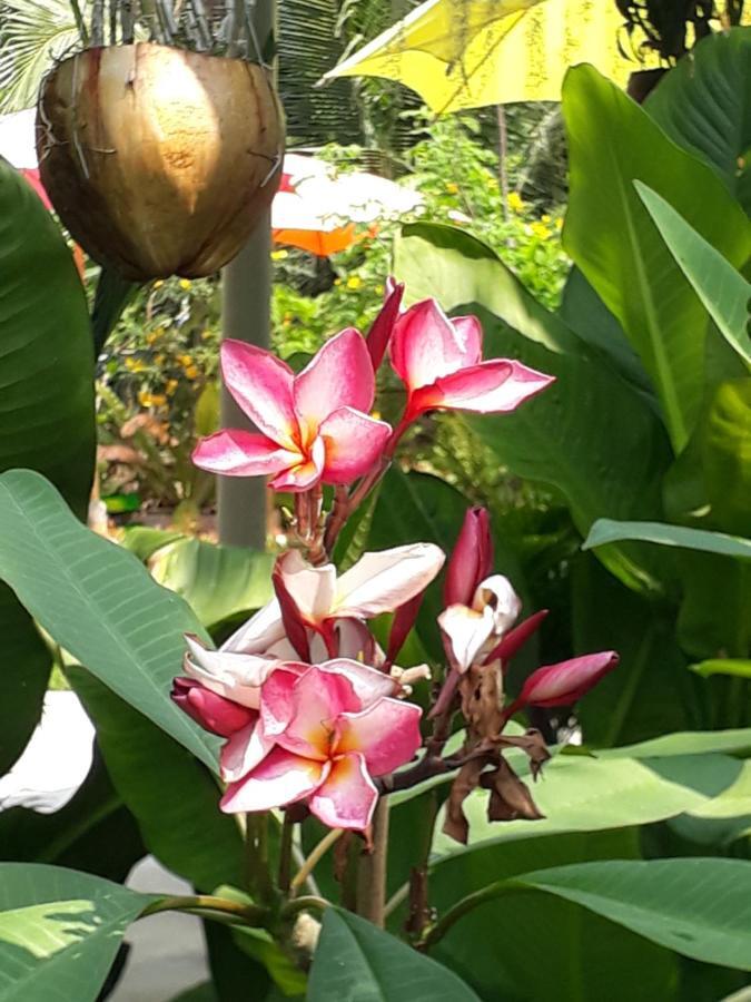 Baan Glangsuan Bang Kobua Hotel Bang Chak Bagian luar foto